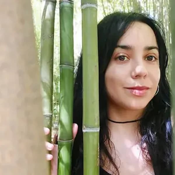 LolaMenti avatar
